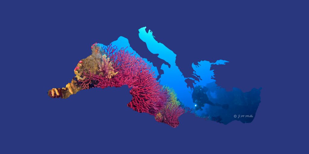 Due Project Mappa, Progetto di Citizen Science per il monitoraggio del Mediterraneo.