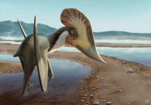 Nuova specie di pterosauro Kariridraco dianae