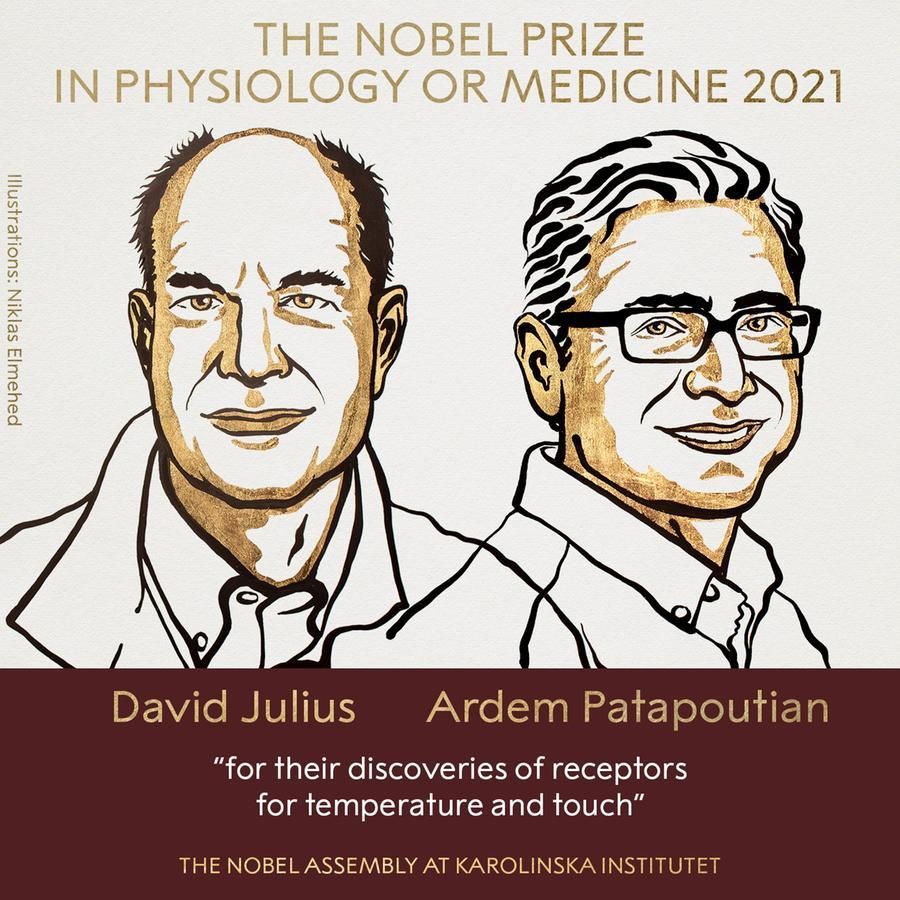Premi Nobel Medicina e fisiologia