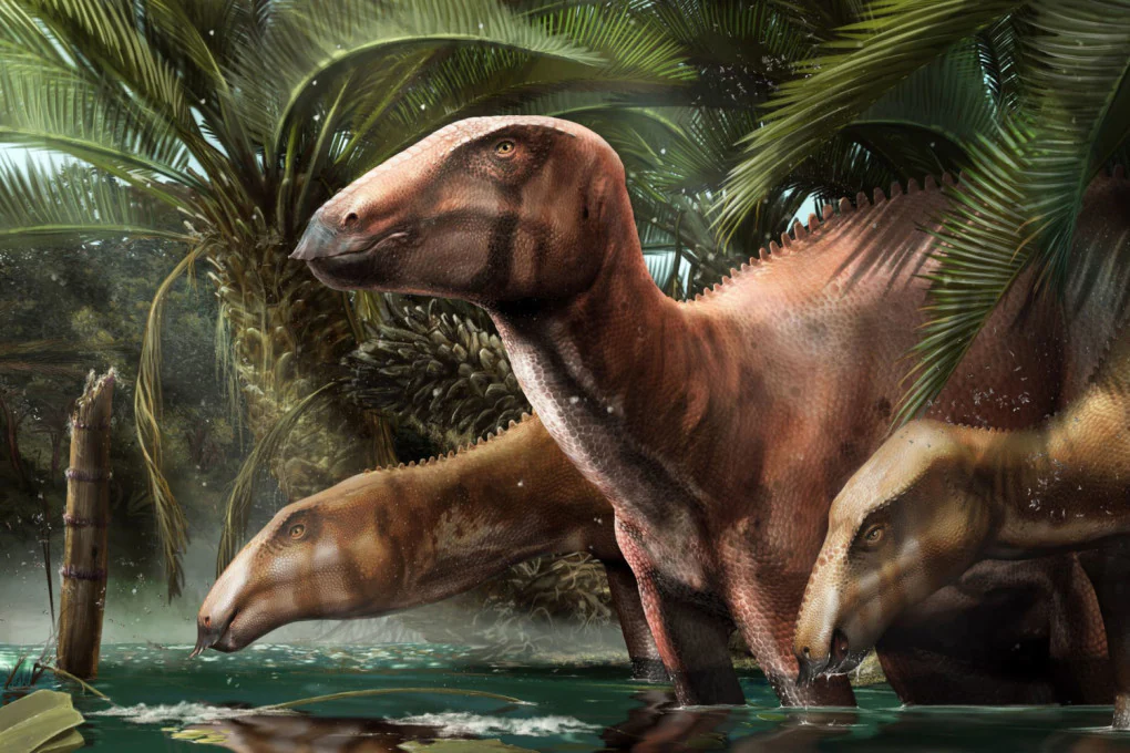 Illustrazione di Tethyshadros insularis